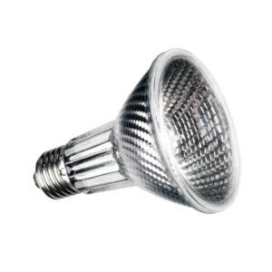 LAMP.PAR-25 75W  SPOT R-80 10? (*)