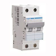 TERMICO (C)2P.40A.6KA.  MUN240A